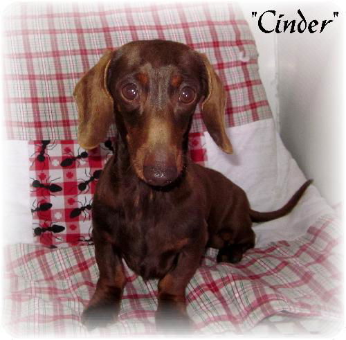 Cinder