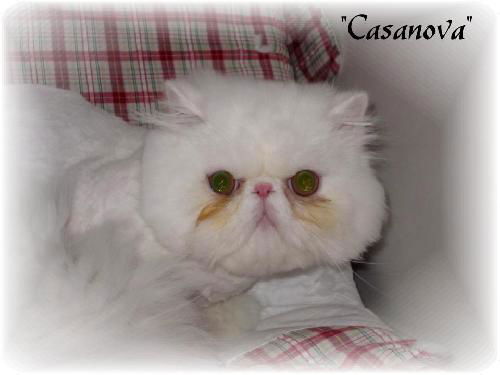 Casanova