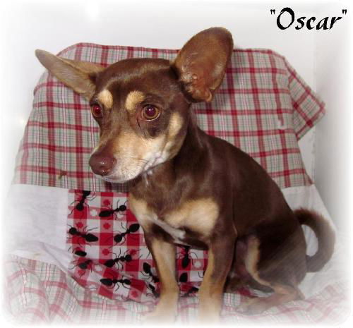 Oscar