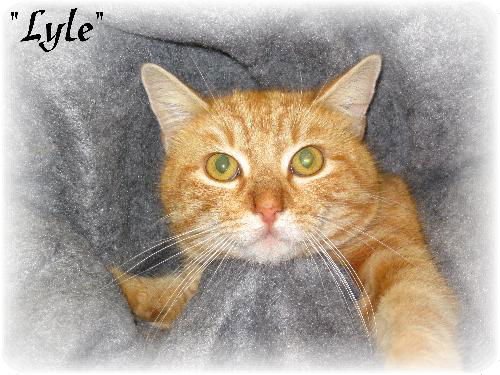 Lyle