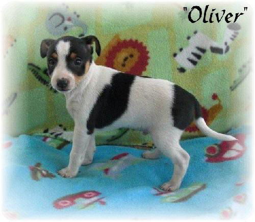 Oliver