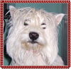 Scrappy
