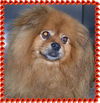 Chantal