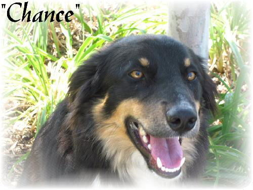 Chance