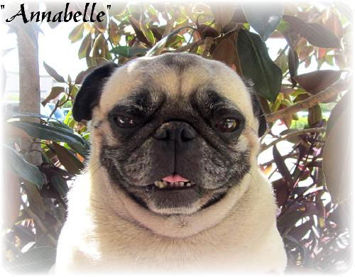 Annabelle