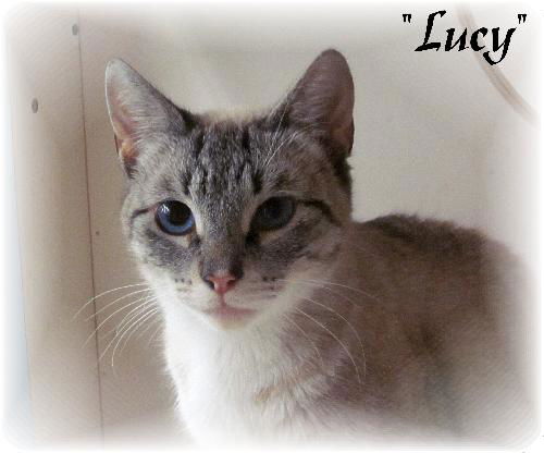 Lucy