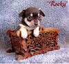 Rocky