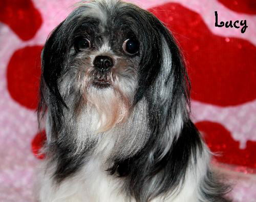 Lucy