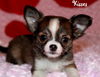 Kisses
