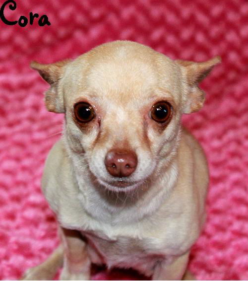 Cora