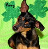 Penny