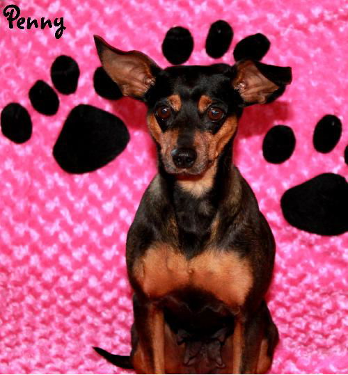 Penny