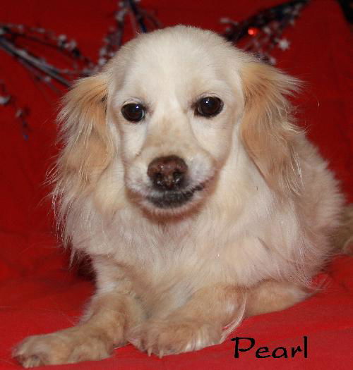 Pearl