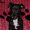 Lucy