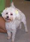 Mindy