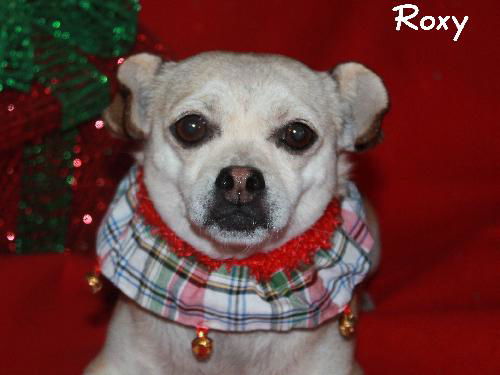 Roxy