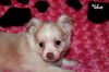 Lilly