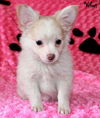 Lilly