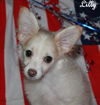 Lilly