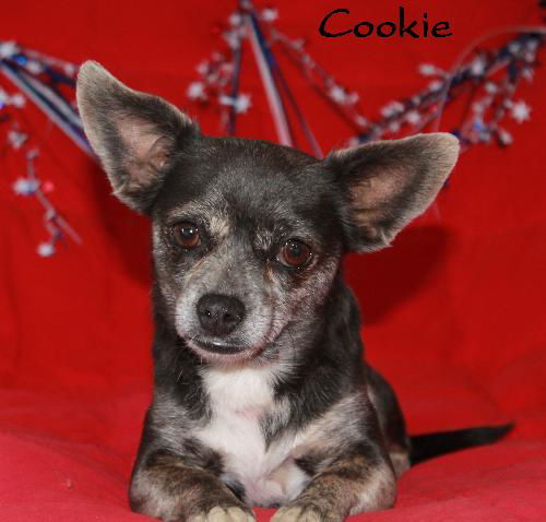 Cookie