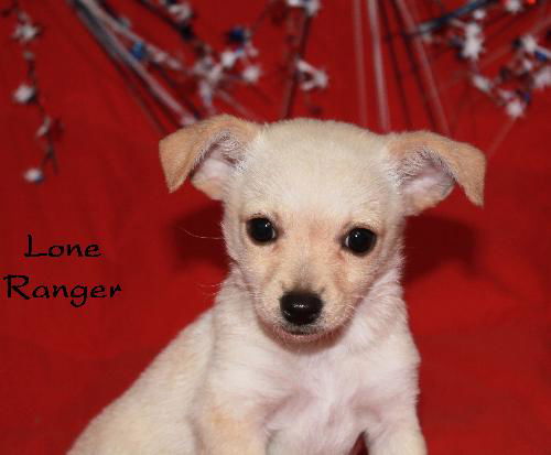Lone Ranger