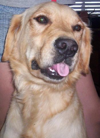 Charlie