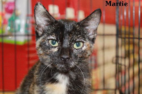 Martie