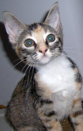 Lucy