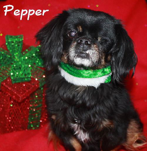 Pepper