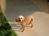 Roxy