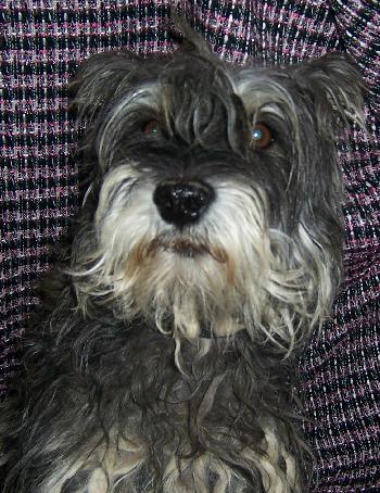 Lucy