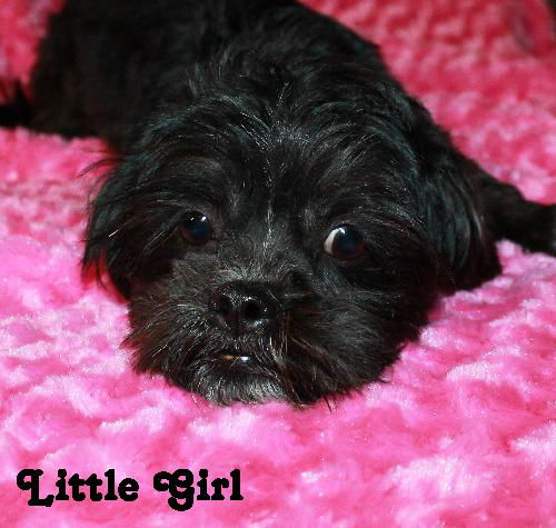 Little Girl