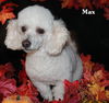 Max