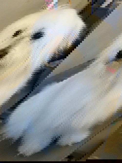 Peg