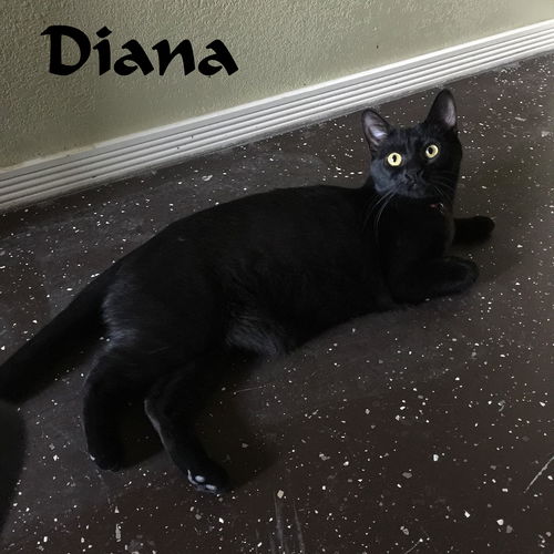 Diana