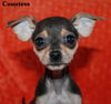 Countess