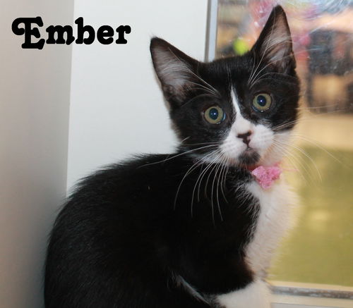 Ember