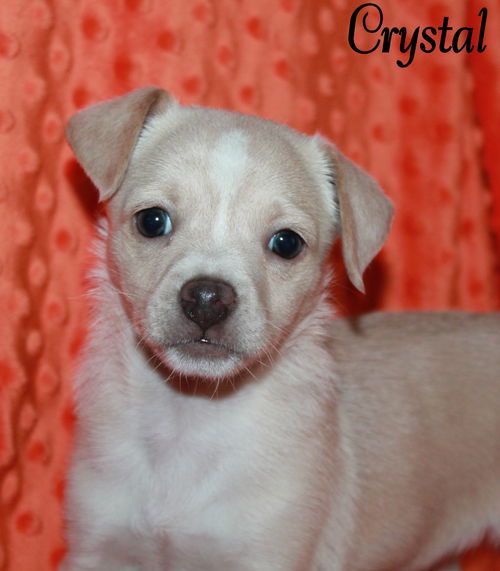 Crystal