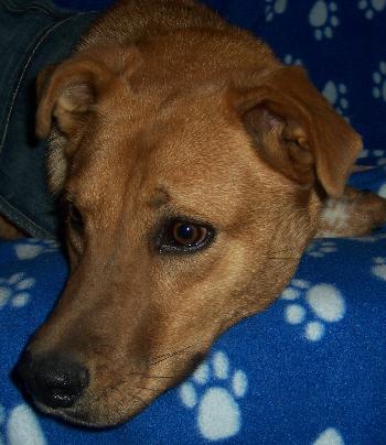 Ruby