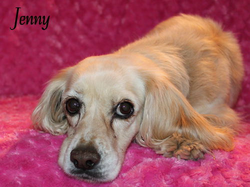 Jenny