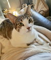 Penny
