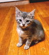 Tiny