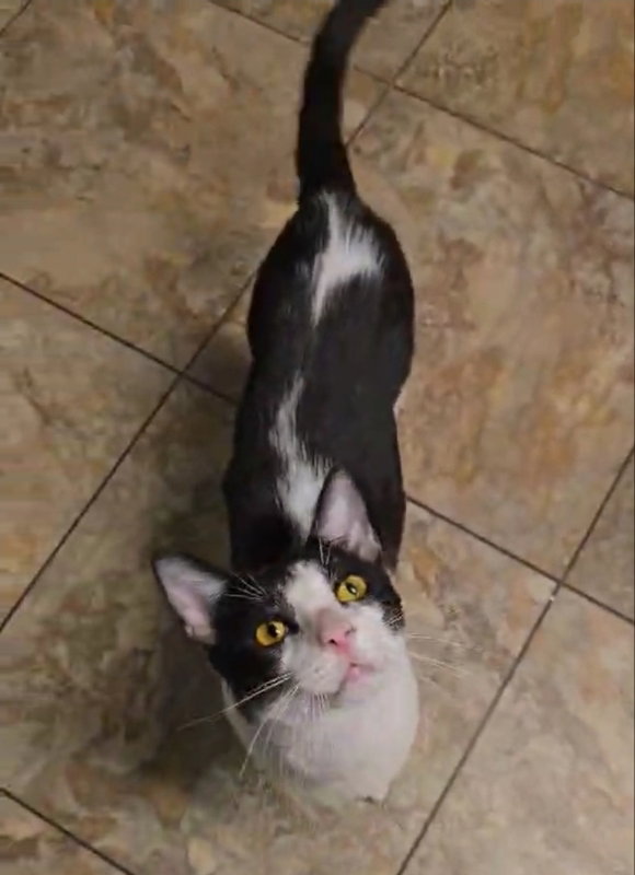 Timmy
