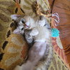 Juno - Photo 2