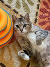 Juno - Photo 3