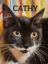 Cathy & Peggy - Photo 3