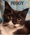 Cathy & Peggy - Photo 4