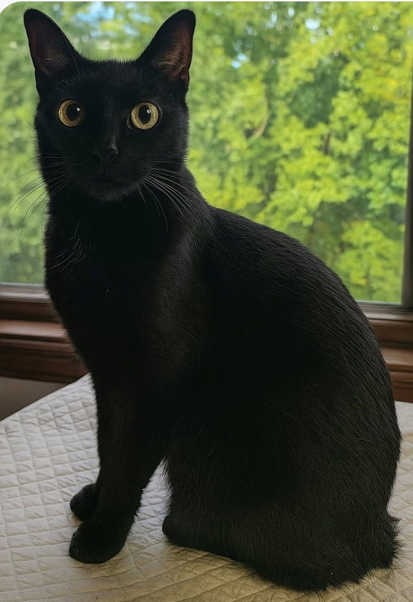 Sonny