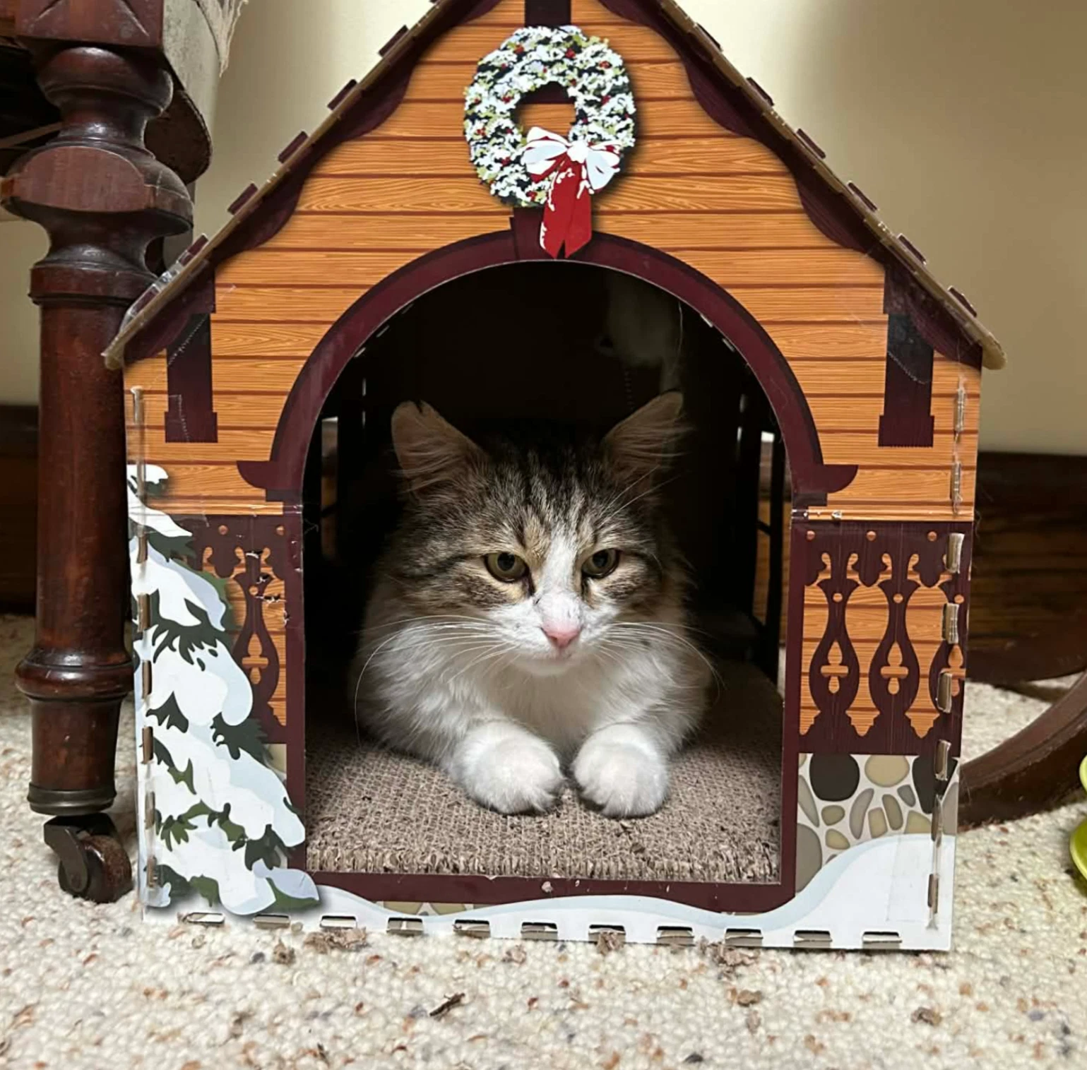 Pavarotti