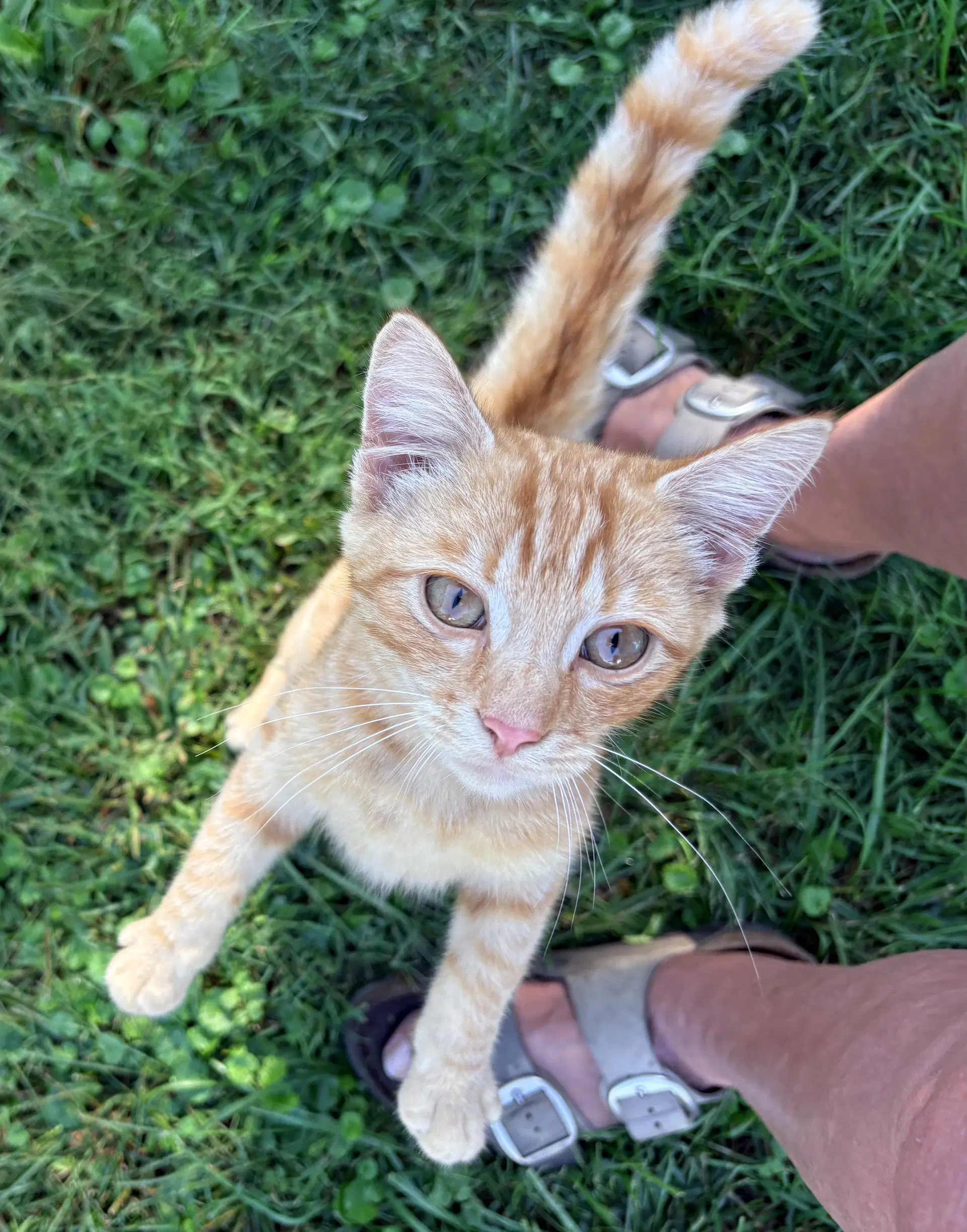 Friend image 3